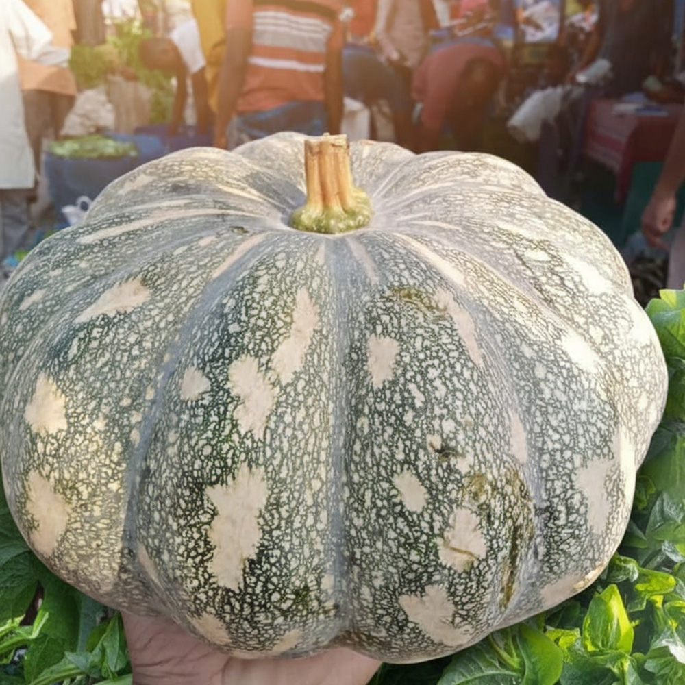 Fresh Organic Pumpkin
