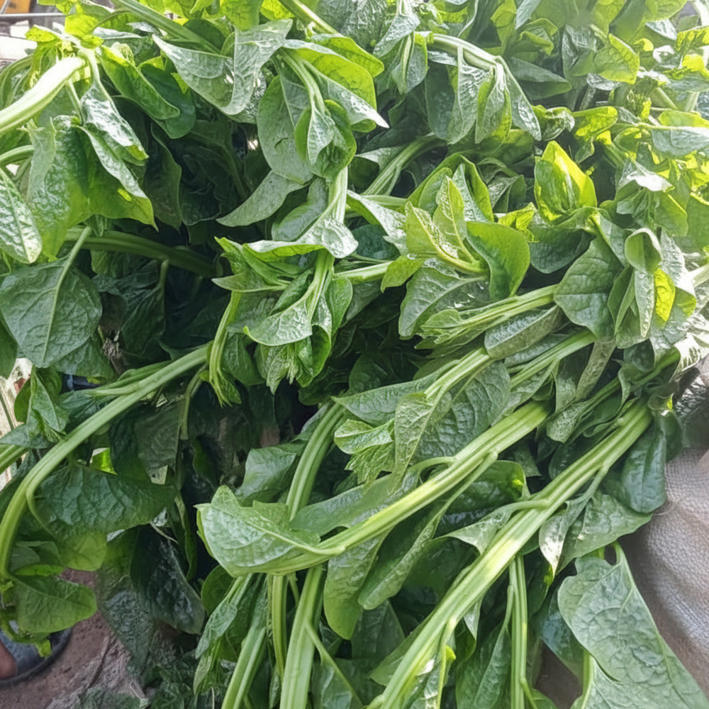 পুঁই শাক